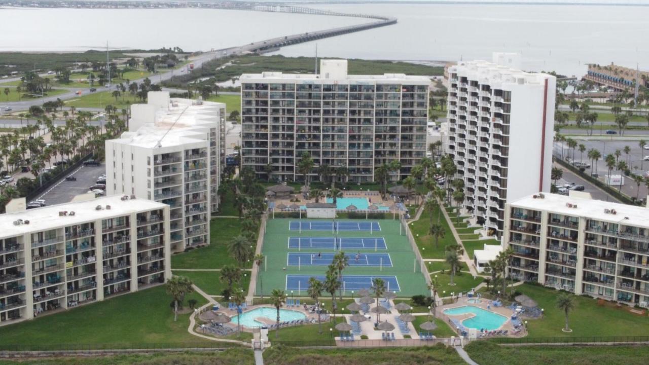 Beachfront Resort With Heated Pool Saida Royale 9039 South Padre Island Esterno foto