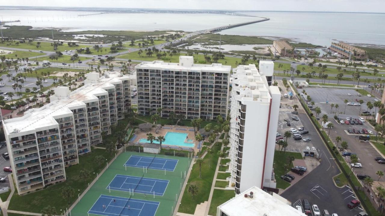 Beachfront Resort With Heated Pool Saida Royale 9039 South Padre Island Esterno foto