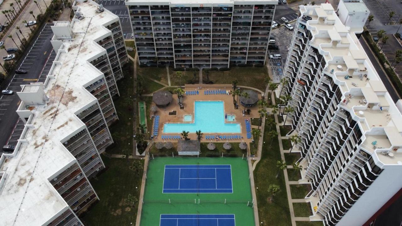 Beachfront Resort With Heated Pool Saida Royale 9039 South Padre Island Esterno foto