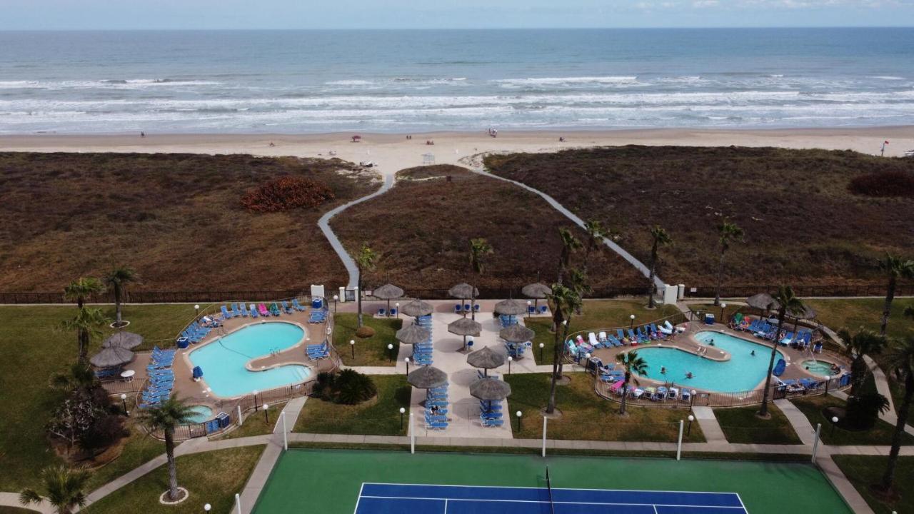 Beachfront Resort With Heated Pool Saida Royale 9039 South Padre Island Esterno foto