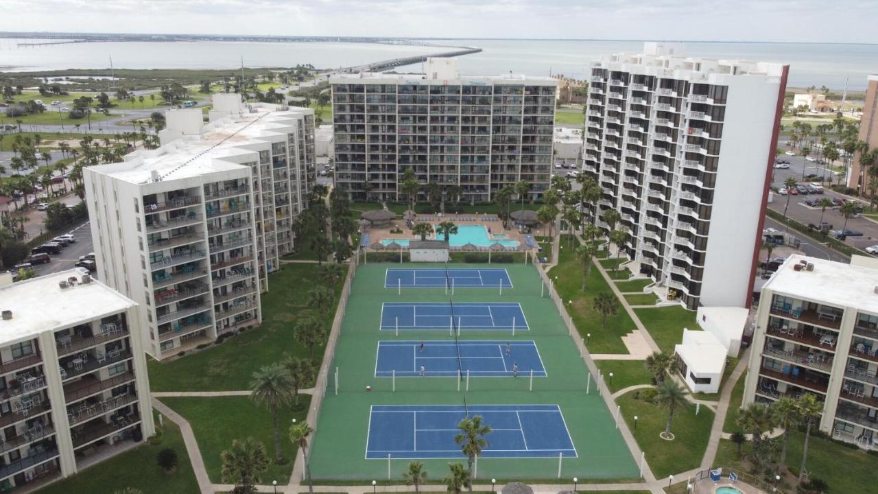 Beachfront Resort With Heated Pool Saida Royale 9039 South Padre Island Esterno foto