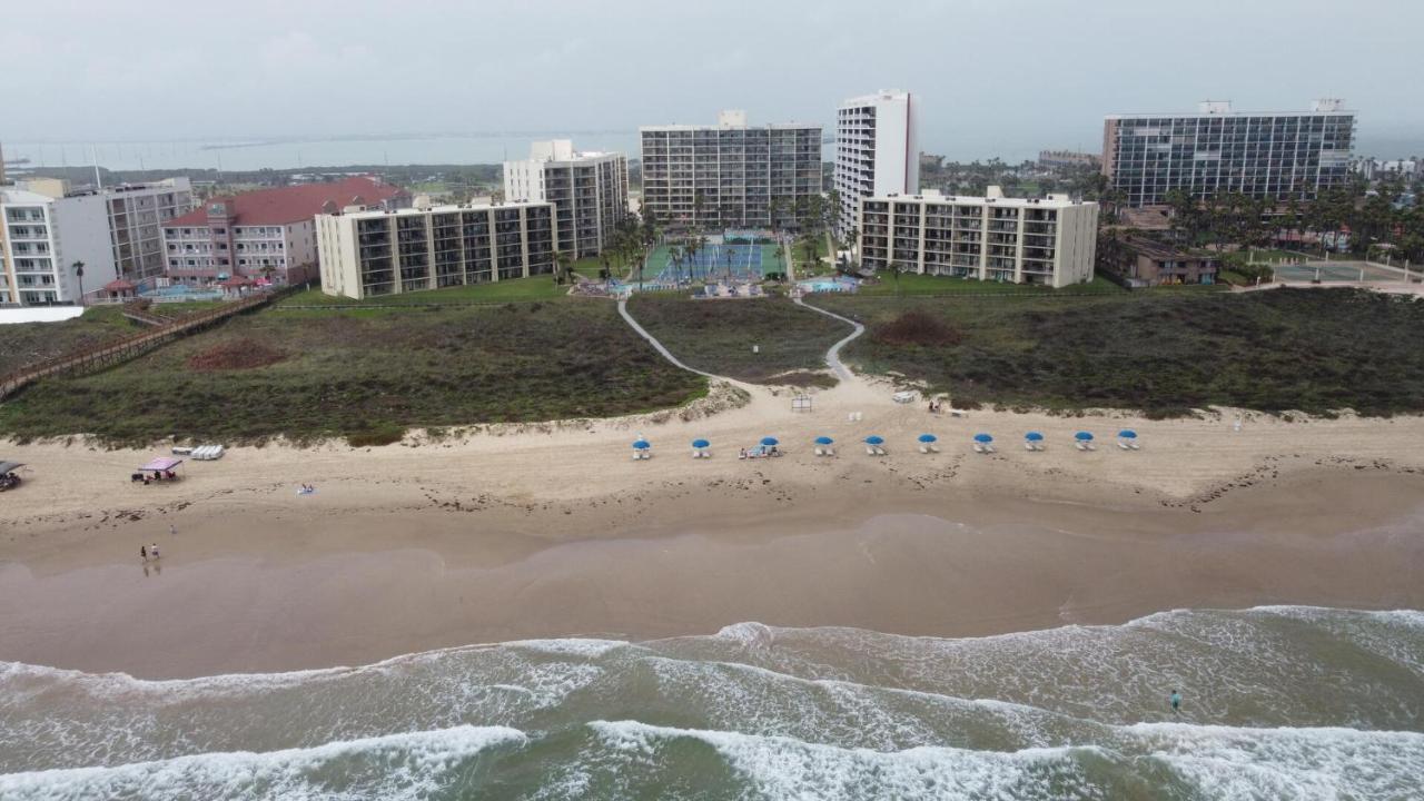 Beachfront Resort With Heated Pool Saida Royale 9039 South Padre Island Esterno foto