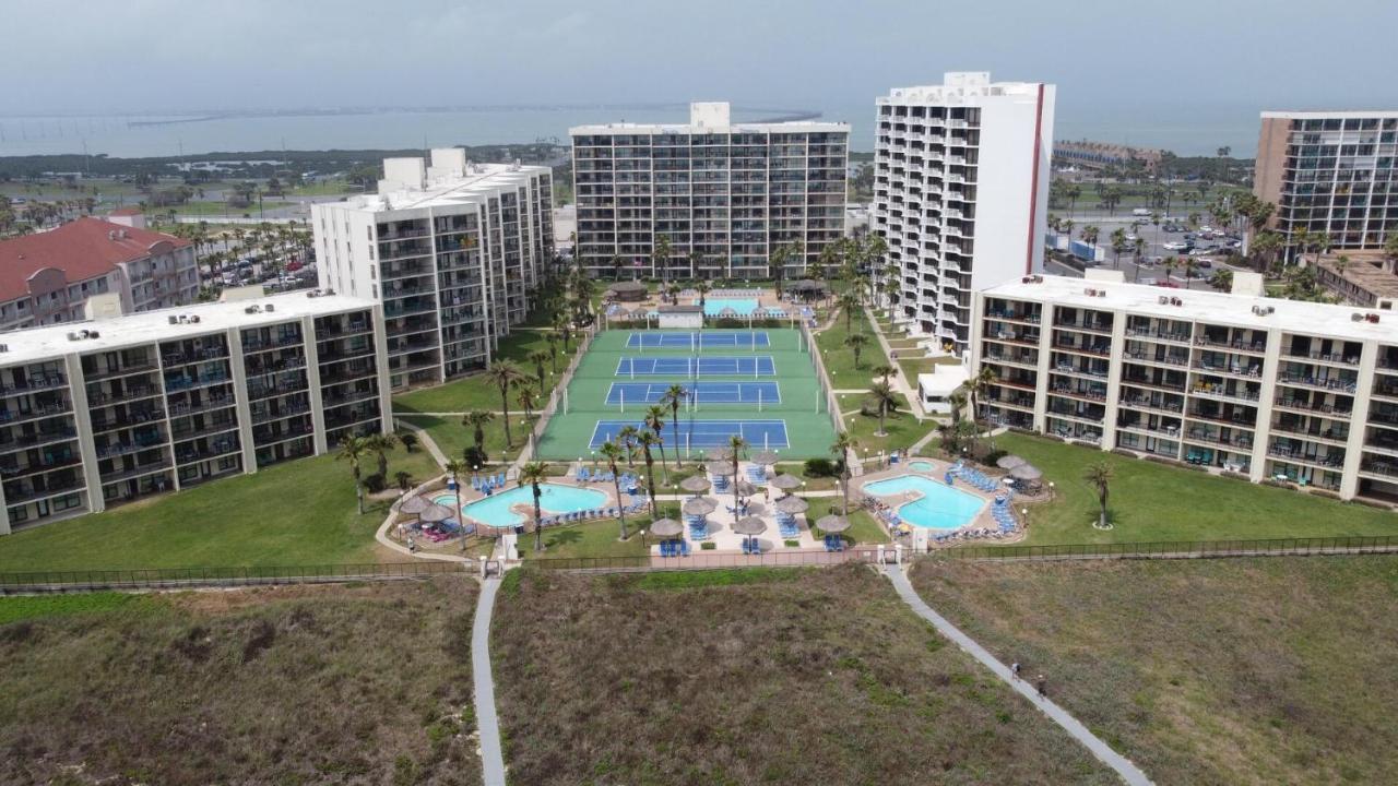 Beachfront Resort With Heated Pool Saida Royale 9039 South Padre Island Esterno foto