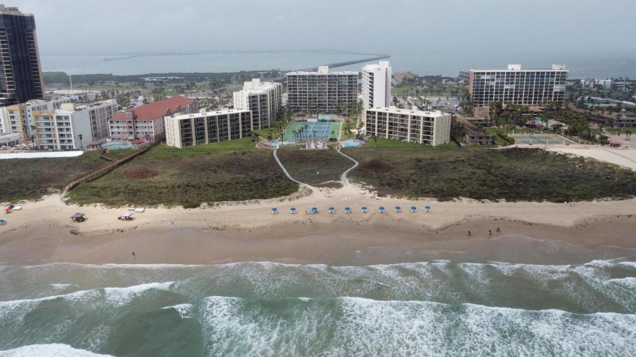 Beachfront Resort With Heated Pool Saida Royale 9039 South Padre Island Esterno foto